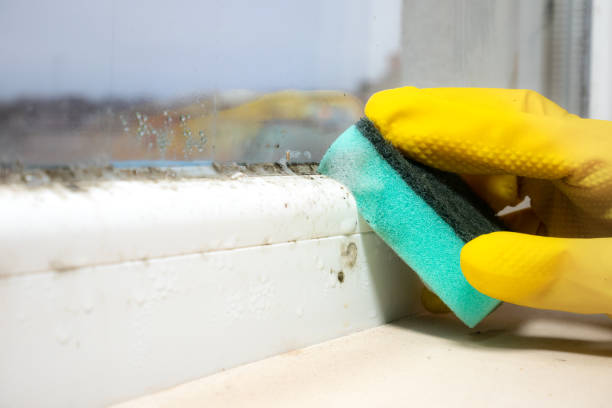 Best Affordable Mold Removal  in Gberts, IL